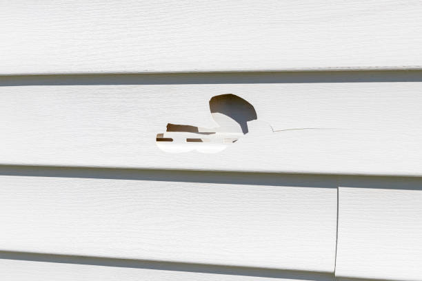 Best Property Management Cleanouts  in Fulton, MS